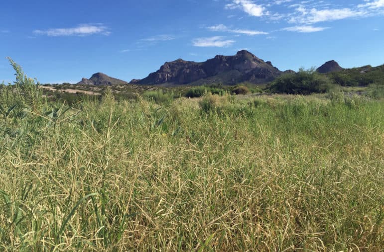 The Doña Ana Mountains in the Organ Mountains-Desert Peaks National Monument