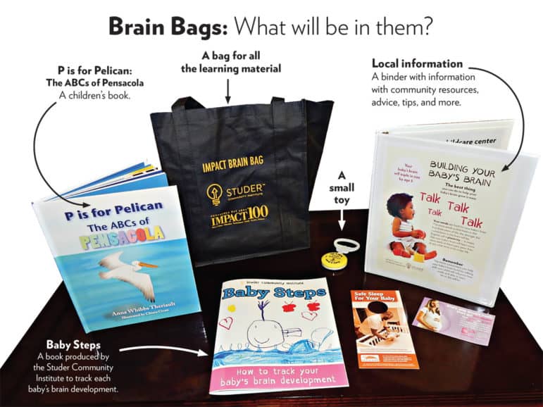 Brain bag
